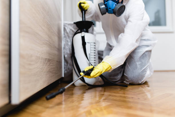 Best Affordable Pest Control Services  in Caddo Mills, TX