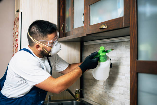 Reliable Caddo Mills, TX Pest Control Solutions